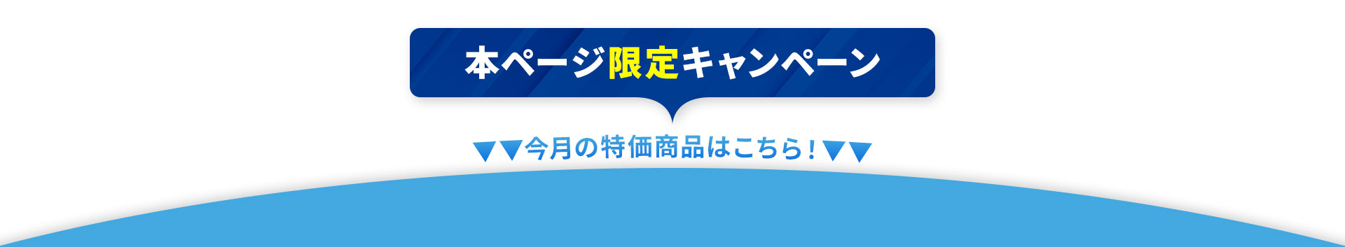 本ページ限定キャンペーン 今月の特価商品はこちら