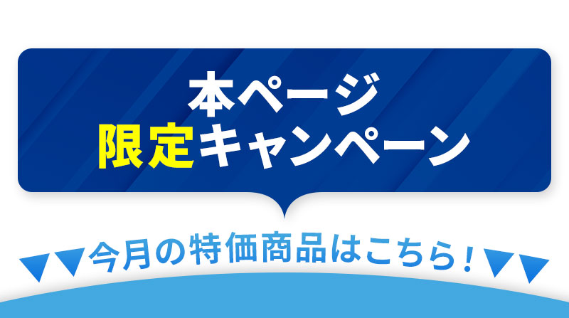 本ページ限定キャンペーン 今月の特価商品はこちら